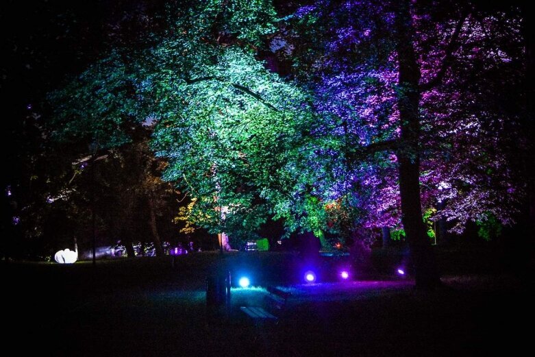  Tak wygląda nocą niesamowity park w Skierniewicach [ZDJĘCIA] 