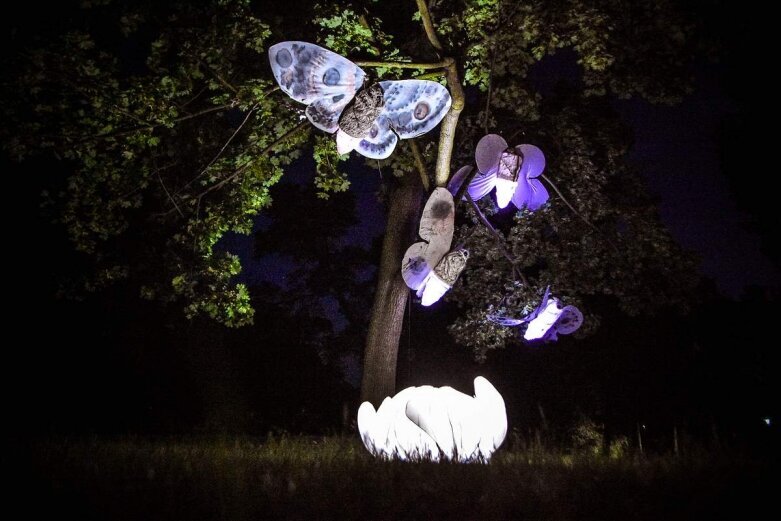  Tak wygląda nocą niesamowity park w Skierniewicach [ZDJĘCIA] 