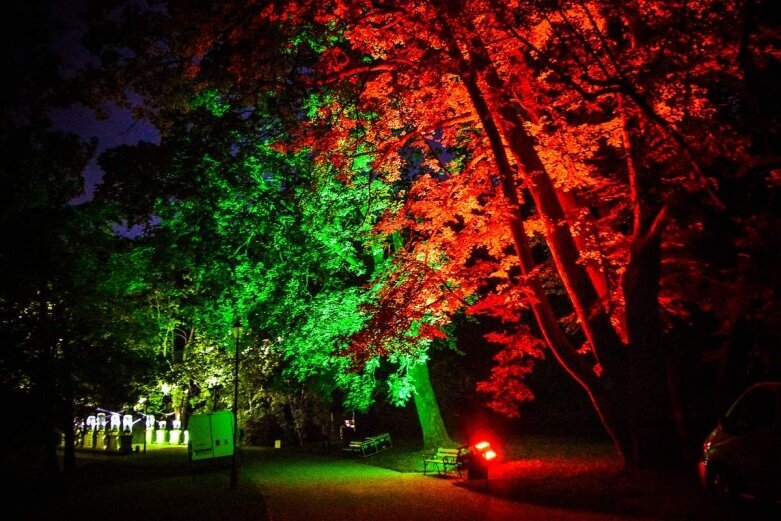  Tak wygląda nocą niesamowity park w Skierniewicach [ZDJĘCIA] 