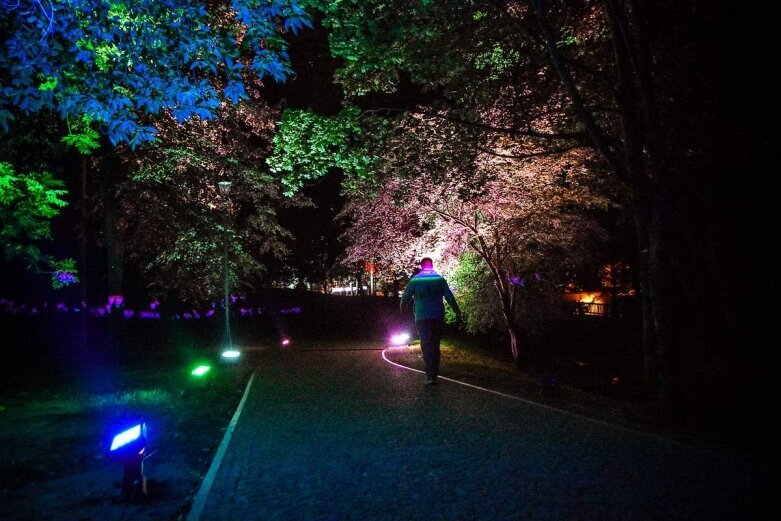  Tak wygląda nocą niesamowity park w Skierniewicach [ZDJĘCIA] 