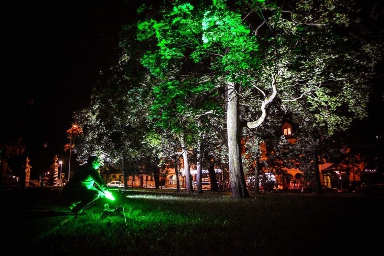  Tak wygląda nocą niesamowity park w Skierniewicach [ZDJĘCIA] 