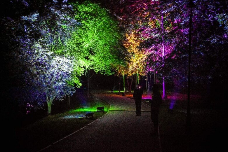  Tak wygląda nocą niesamowity park w Skierniewicach [ZDJĘCIA] 