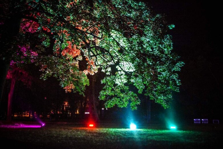  Tak wygląda nocą niesamowity park w Skierniewicach [ZDJĘCIA] 