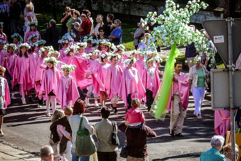  Tegoroczne święto kwiatów wisi na włosku. Zobacz, jak się bawiono w 2009 roku 