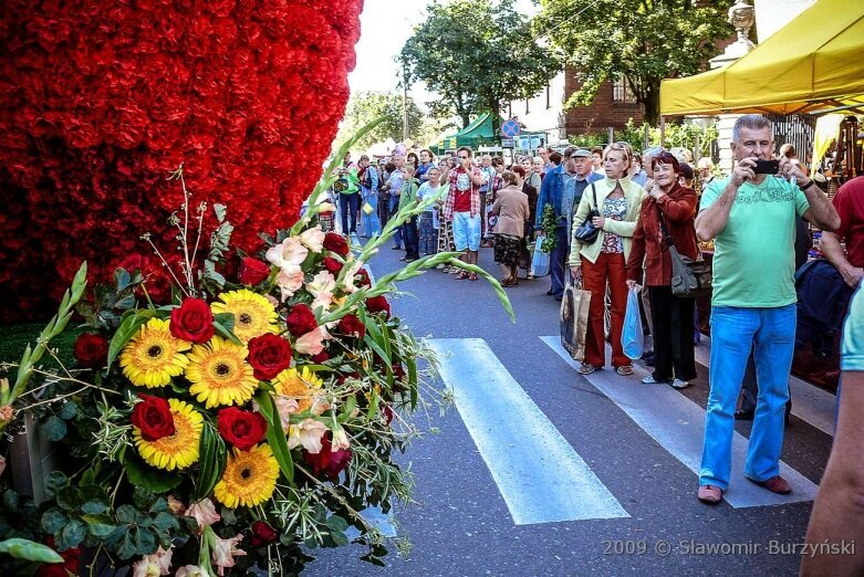  Tegoroczne święto kwiatów wisi na włosku. Zobacz, jak się bawiono w 2009 roku 