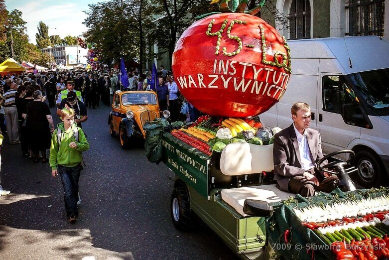  Tegoroczne święto kwiatów wisi na włosku. Zobacz, jak się bawiono w 2009 roku 