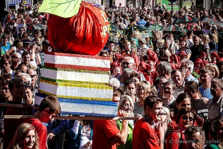  Tegoroczne święto kwiatów wisi na włosku. Zobacz, jak się bawiono w 2009 roku 