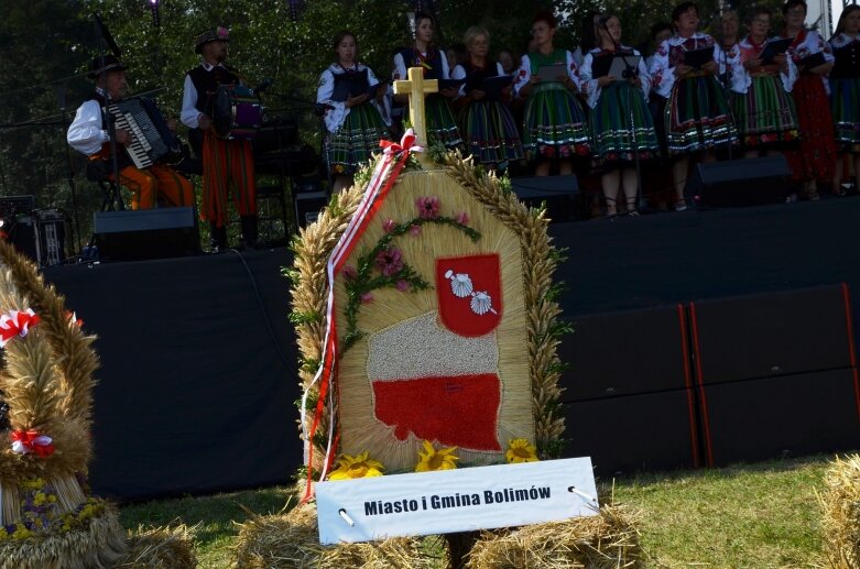  Tłumy na powiatowyh dożynkach w Godzianowie 