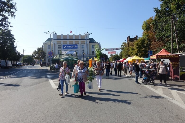  Ulice Skierniewic tętniły świątecznym życiem  