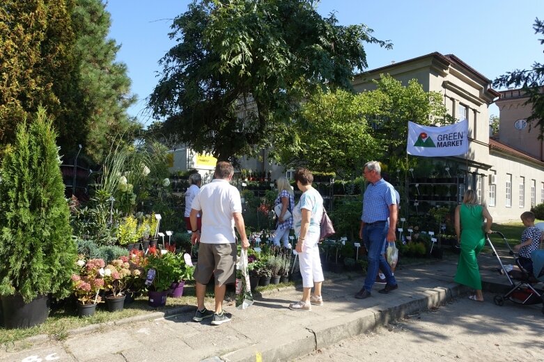  Ulice Skierniewic tętniły świątecznym życiem  