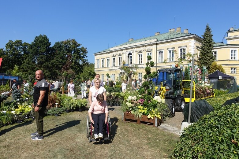  Ulice Skierniewic tętniły świątecznym życiem  