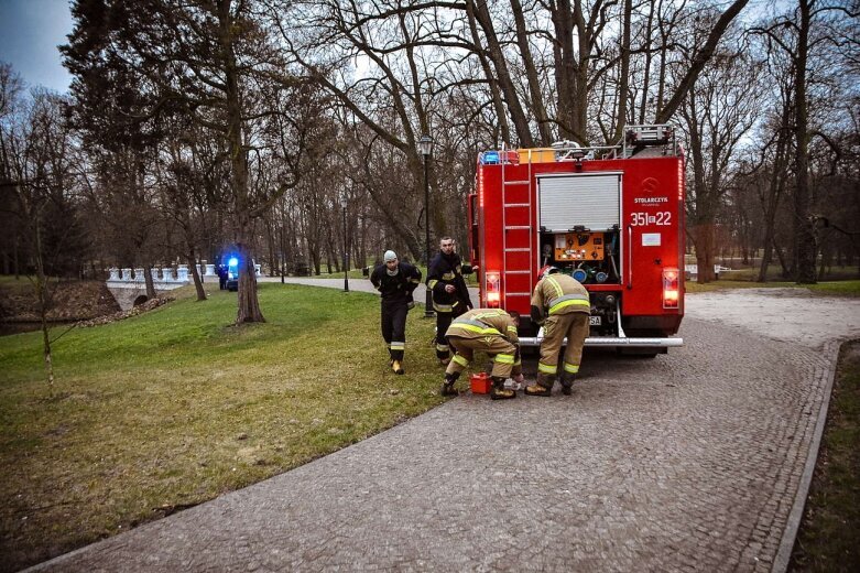  W skierniewickim parku ratowano niedoszłego topielca 