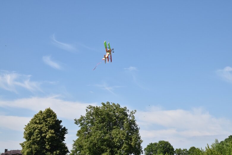  Wyjątkowe pokazy modeli latających w Skierniewicach 