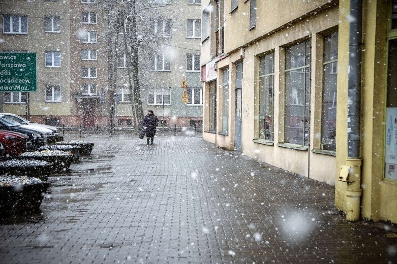  Zima przypomniała sobie o Skierniewicach [ZDJĘCIA] 