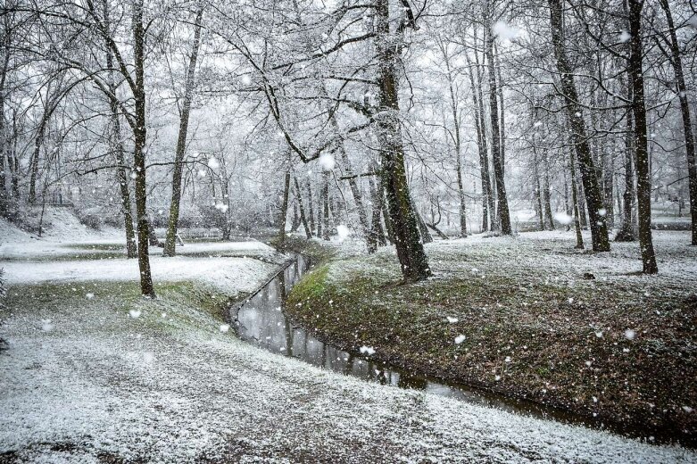  Zima przypomniała sobie o Skierniewicach [ZDJĘCIA] 