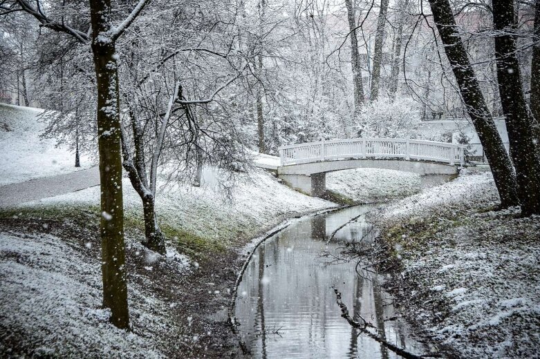  Zima przypomniała sobie o Skierniewicach [ZDJĘCIA] 