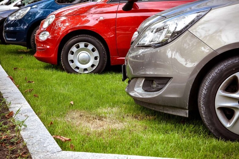  Zobacz jak wygląda trawiasty parking przy Rawskiej 