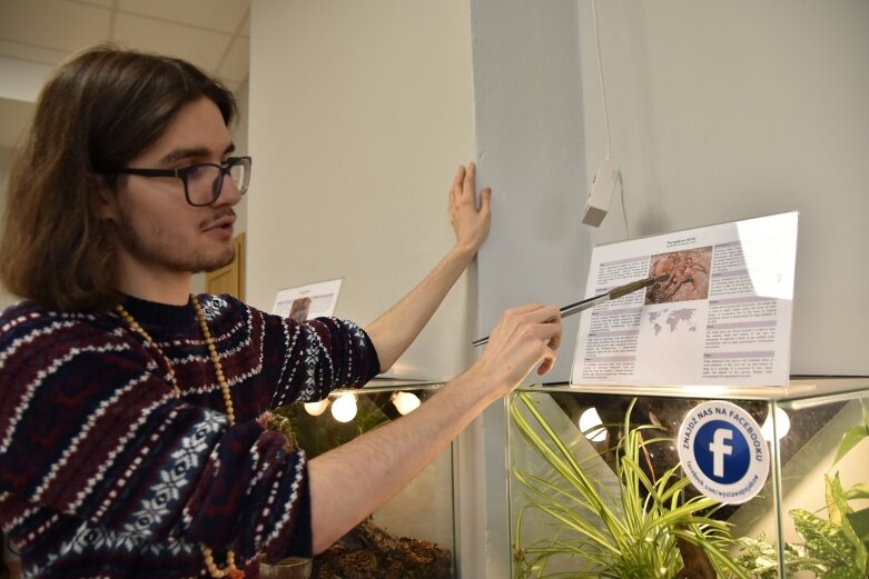  Żywe pająki i skorpiony w centrum kultury 