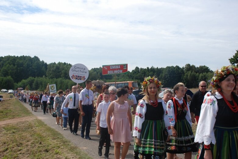  Dożynki powiatowe 2019 