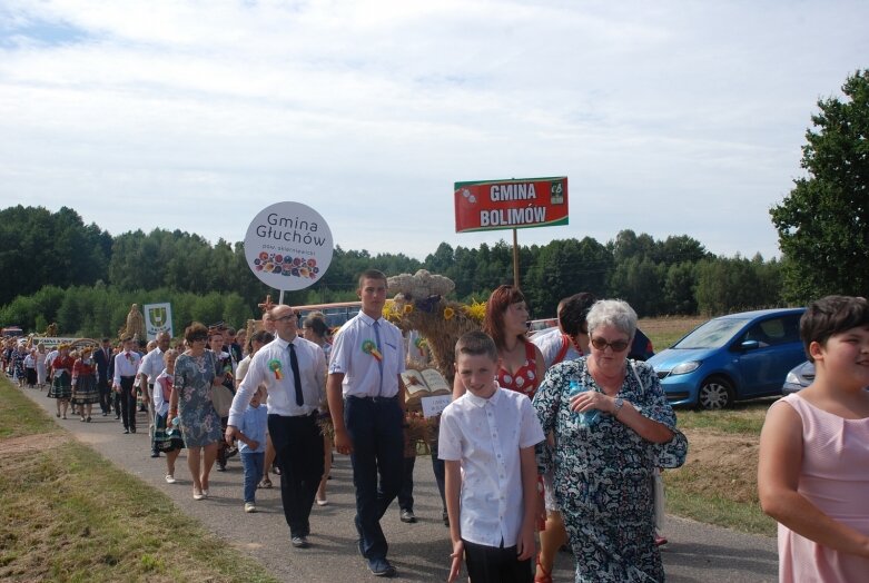  Dożynki powiatowe 2019 