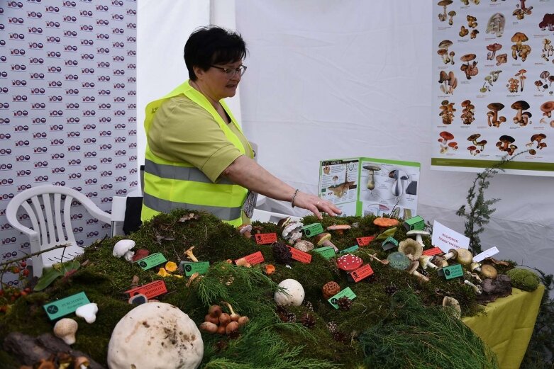  Mixer Regionalny w Rawie Mazowieckiej 