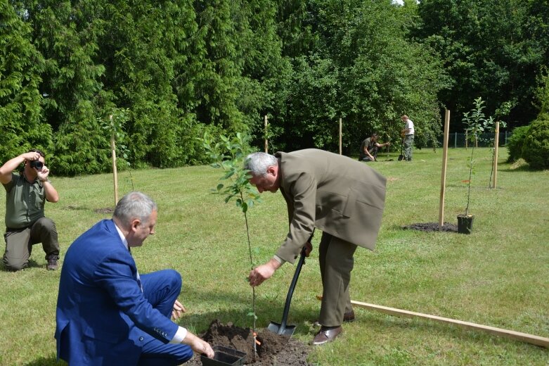  Owocowy sad powstał na terenie nadleśnictwa 