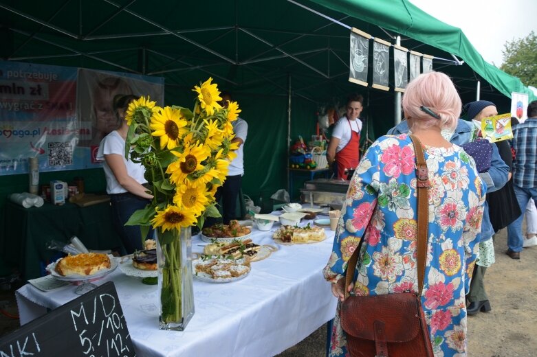  Festiwal turystyczny w Jeżowie 