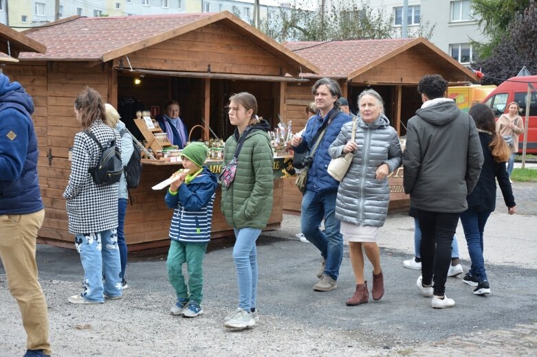  Mimo kiepskiej pogody roślinożercy dopisali 