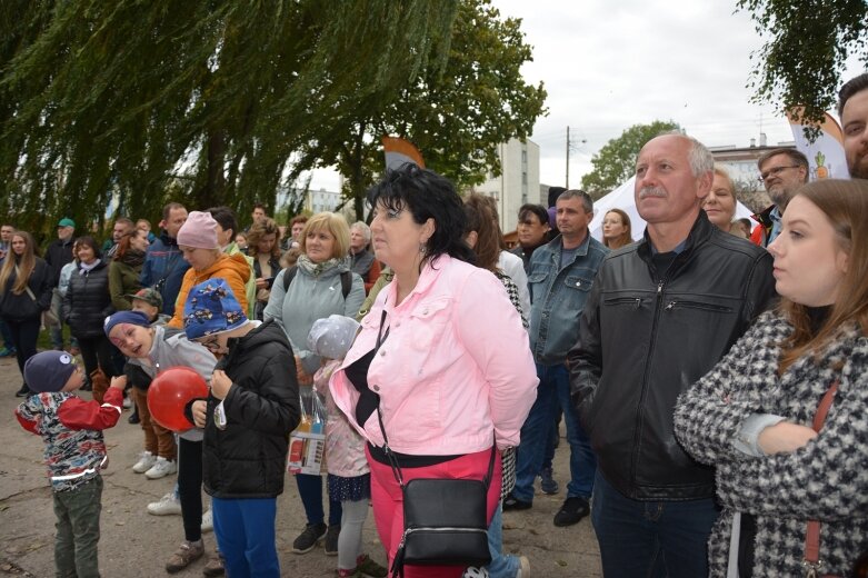  Mimo kiepskiej pogody roślinożercy dopisali 