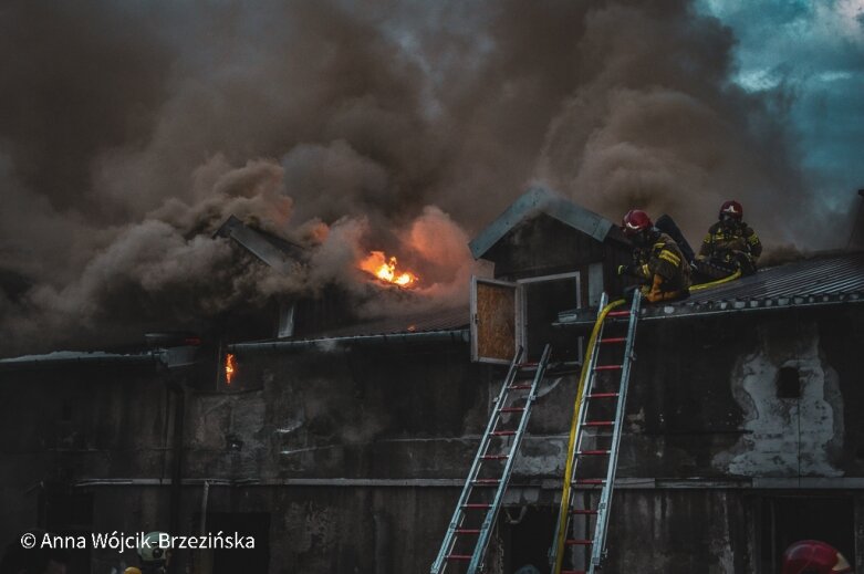  Pożar w centrum Skierniewic 