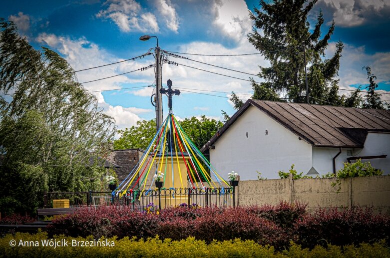  Skierniewice: Do końca czerwca rondo ul. Skłodowskiej z Czerwoną będzie gotowe 