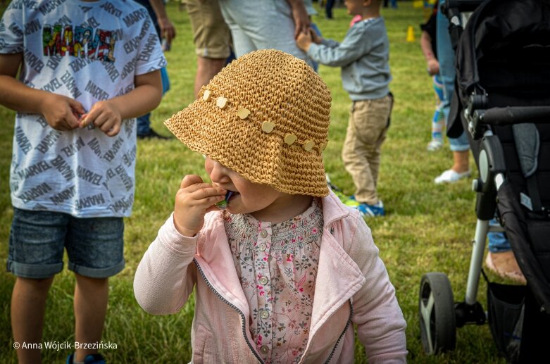  Gangnam style w żłobku. Rodzinny piknik jakiego Skierniewice nie widziały 