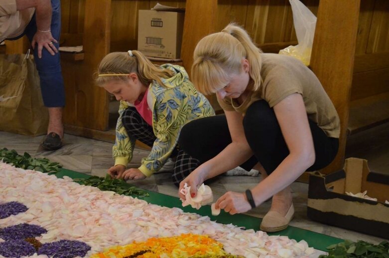  W kilka godzin ułożyli dywan z płatków kwiatów  