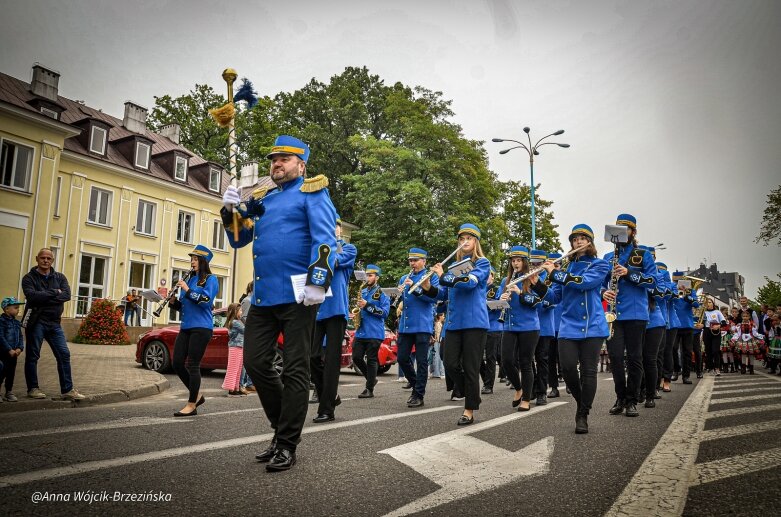  fot. Anna Wójcik-Brzezińska 