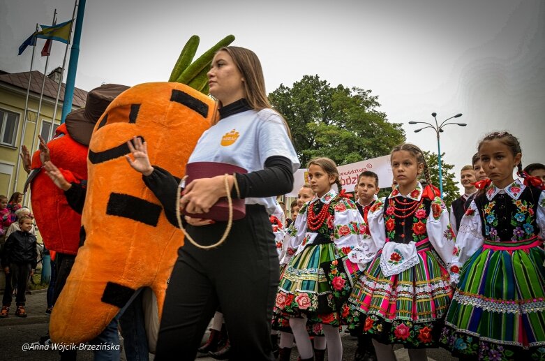  fot. Anna Wójcik-Brzezińska 