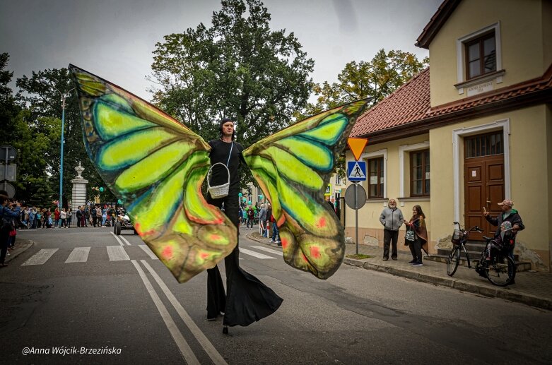  fot. Anna Wójcik-Brzezińska 