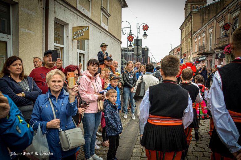  fot. Anna Wójcik-Brzezińska 