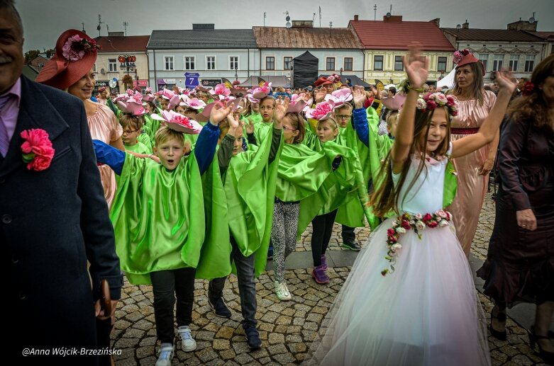  fot. Anna Wójcik-Brzezińska 