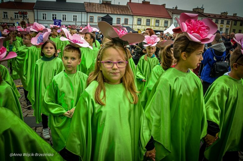  fot. Anna Wójcik-Brzezińska 