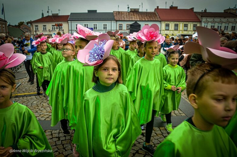  fot. Anna Wójcik-Brzezińska 