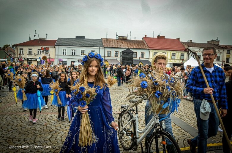  fot. Anna Wójcik-Brzezińska 