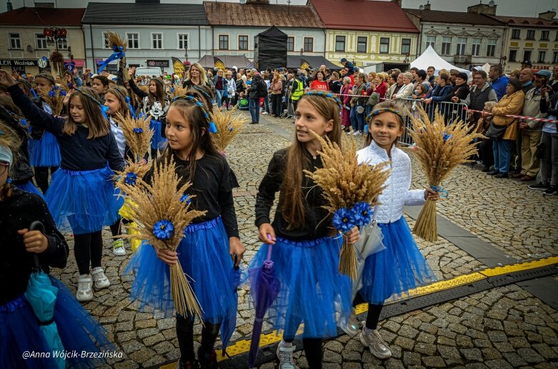  fot. Anna Wójcik-Brzezińska 