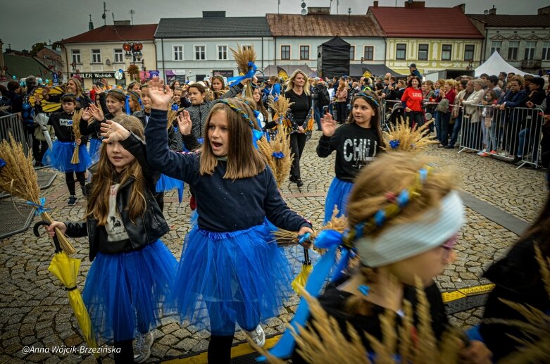  fot. Anna Wójcik-Brzezińska 