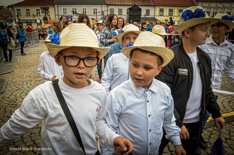  fot. Anna Wójcik-Brzezińska 