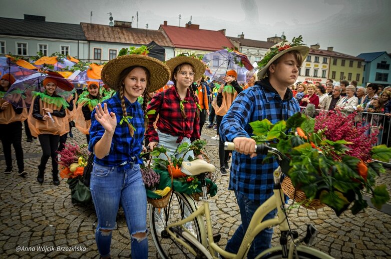  fot. Anna Wójcik-Brzezińska 