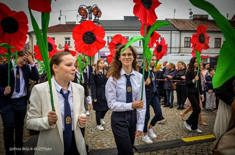  fot. Anna Wójcik-Brzezińska 