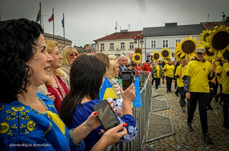  fot. Anna Wójcik-Brzezińska 