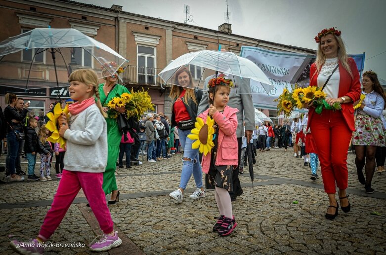  fot. Anna Wójcik-Brzezińska 