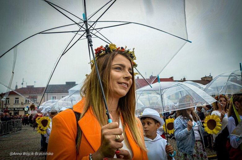  fot. Anna Wójcik-Brzezińska 