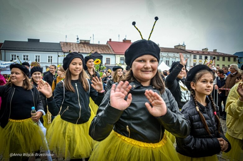  fot. Anna Wójcik-Brzezińska 